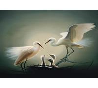 skdhlifpj Photography Wallpaper Flying Birds 3D Mural White Birds Nurturing A Nest Tv Background Wall 300cmx210cm Kids Living Room Bedroom Wood Effect Wallpaper