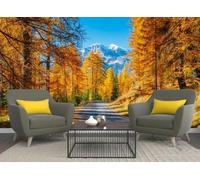 skdhlifpj Photography Wallpaper Rainforest 3D Mural Autumn Roads, Snow-Capped Mountains Golden Birch Forests 250cmx175cm Kids Living Room Bedroom Wood Effect Wallpaper