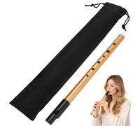 Skdqiee Aluminum Alloy Irish Tin Whistle D Key with Storage Bag & Fingering Chart, 6-Hole Penny Whistle Flute, Resin Mouthpiece, 11.2 x 0.6 in for Beginners, Performance, Study
