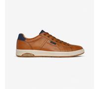 Skechers Cavell Hensley Mens Synthetic Lace-Up Comfort Luggage Court Trainers