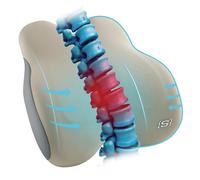 Skechers Memory Foam Lumbar Pillow,Lumbar Support Pillow for Office, Chair Lower Back Pain Relief Lumbar Pillow, Ergonomic Design Back Support Pillow for Office Chair, Car, Home, Travel,Beige