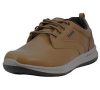 Skechers Men's Delson Antigo Oxfords Tan 11 D(M) US