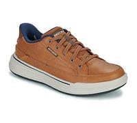Skechers Shoes (Trainers) STERLING HANSEL SLIP-INS in Brown 10