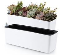 Skelang 2-Pack Self Watering Planter, Rectangle Flower Pot with Water Level Indicator, Window Gardening Box for Indoor Plant, Succulent, Herb, Vegetable