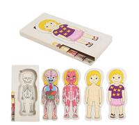 Skeletal Puzzles Toy, Body Anatomy Puzzle, Educational Wooden Set, Interactive Learning Game, Preschool Tool for Classroom, Travel, Home, School, Bedroom, Stem, , Boys, Girls
