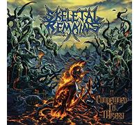 SKELETAL REMAINS - CONDEMNED TO MISERY RE-ISSUE - New Vinyl Record lp - Y15z