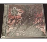 Skeletal Spectre - Tomb Coven