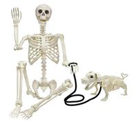 Skeleton, 35 Inch Realistic Plastic Halloween Skeleton with Dog & Walking Rope, Movable Joints Halloween Decorations for Home Haunted Houses Plastic