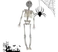 Skeleton Action Figure - 16 Inch Halloween Skeleton | Possible Human Skeleton Decorations | Mobile Joint Skeleton Human Model Skull | Skeleton Figure For