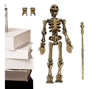 Skeleton Action Figure - Human Body Model with Movable Joints, Buildable Full Body Model | Ideal for Desks, Bookshelves, Halloween Decorations