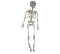 Skeleton Action Figure - Realistic Jointed Bone Model with Detailed Skull | Halloween Skeleton Decoration Parties for Poseable Prop for Desktops, Shelves, or Science-Inspired Spooky