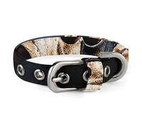 Skeleton Collar Easy-Fastening Buckle，Pet Supplies Adjustable ，Dog Collar The D-Ring Design Allows for Towing Or Hanging Tags，for Small to Medium-Sized Dogs.
