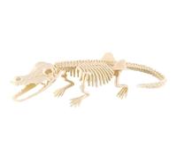 Skeleton Crocodiles Fossil Dig Kit, Includes Tools to Excavate and Assemble Full Body Plastic Animal Skeletons, Educational Archaeological Fossil Digging Toys for Little Ones and Kids