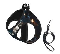 Skeleton Dancing Print Dog Harness,Pet Leash Vest,Adjustable And Reflective Vest,For Small To Medium Dogs