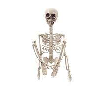Skeleton Decor - 2ft Halloween Outdoor Skeleton,Folding Skull Human Bone Statues Props for Womens Office Birthday Party
