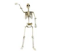 Skeleton Decor for Outdoor,Life-Size Full Body Posable Skeleton - Decorative Party Supplies Outdoor Decorations for Garden Backyard Porch Lawn