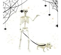 Skeleton Decor Realistic Posable Skull Props Walking the Dog