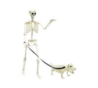 Skeleton Decor Realistic Posable Skull Props Walking the Dog
