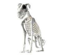 Skeleton Dog | Realistic Skeleton Animal Puppy Decor,Props 17.3X12.2Inch Festivel Decoration for Party Entryway Festival Activities Gathering Home Bedroom