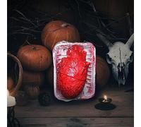 Skeleton Halloween Props Reptile Room Props with Realistic Brain and Heart Perfect for Creating A Thrilling and Terrifying Adventure The Enchanting Witch Statue (Red, One Size)