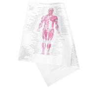 Skeleton Human Anatomy Poster 40x60cm Cloth Educational Chart