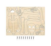 Skeleton Model Human | 30cm Assembly,Skeleton Figure - Educational Toy 30cm Assemble For Children Students Science Teaching Desk Decoration Halloween Scientific