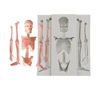 Skeleton Silicone Mould - Creepy Chocolate Mould for Party Baking | Flexible Skeleton Ice Cube Tray, Fondant Mold, Resin Crafts and Decoration