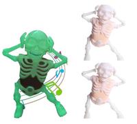 Skeleton Toy-Motion Detection,Sound Activated Spooky Halloween Must-Have with Interactive Dance Moves, Entertaining Sound Effects,Child-Friendly Design (2pcs)