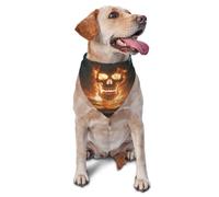 Skeletons And Ships In A Sea Of Fire Printed Graphic Pet Triangle Scarf For Dogs & Cats, Adjustable Cute Pet Bandana For & Photo Shoots