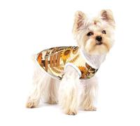 Skeleton's Harvest Break Print Pet T-Shirt - Summer Dog Clothes Soft Puppy Apparel Outfit for Small Dogs and Cats Daily Outdoor Wear