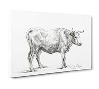 Sketch of a Bull by Jean Bernard Canvas Print | Gallery Wrapped 30mm Frame Wall Art | 30x20 inches | Ready to Hang | Modern Animals Picture | Living Room Bedroom Lounge Office