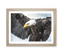 Sketch Of A Golden Eagle Painting Modern Art Framed Wall Art Print, Ready to Hang Picture for Living Room Bedroom Home Office Décor, Oak A4 (34 x 25 cm)