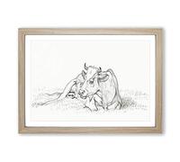 Sketch of a Resting Cow by Jean Bernard Framed Print | A2 Oak Framed Wall Art | Ready to Hang | Modern Animal Picture | Living Room Bedroom Lounge Office