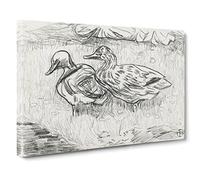 Sketch Of Two Ducks By Theo Van Hoytema Canvas Print | Gallery Wrapped 30mm Frame Wall Art | 20x14 inches | Ready to Hang | Classic Bird Picture | Living Room Bedroom Lounge Office