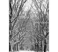Sketchbook: 8.5 x 11 Large Sketchbook, "Central Park Winter Wonderland" cover, Blank Drawing Book, Notebook, A4 Sketch Pad, Bound Sketchbook, 100 Durable Blank Pages: Volume 26 (New York Shots)