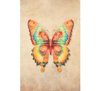 Sketchbook - beautiful butterfly cover: Blank unlined pages for sketching, drawing, painting or doodling. 100 white pages, 6x9 inches in size.