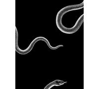 SKETCHBOOK BLACK PAGE | SNAKE DESIGN SKETCHBOOK :: The Blank Black Paper | 8.5x11 inc. 120 pages | for sketching, drawing,doodling,writing, take note and more | ideal size blank black paper.