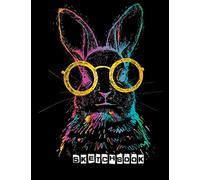 Sketchbook: Black Pages 8.5 x 11" 120 Pages Blank Dot Grid Large Sketchbook/ Notebook/ Journal/ Art Diary/ Print In Black Use With Gel Pens Artist-Beginner Bunny Lover Men-Women Kids Teen/Adult Gift