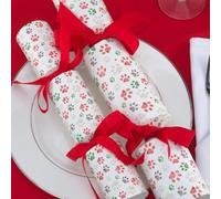 Sketched Pawprints | Christmas Cracker Craft Kit | Makes 6 Standard Crackers