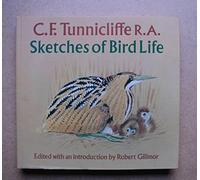 Sketches of Bird Life
