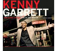 Sketches of Miles Davis - Live at the Iridium