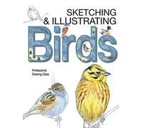 Sketching & Illustrating Birds: Professional Drawing Class