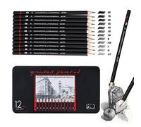 Sketching Pencils,12pcs Drawing Pencil Professional Set 8B 7B 6B 5B 4B 3B 2B B HB F H 2H Art Pencils for Adults Artists Beginners Students Beginners Designers and Kids