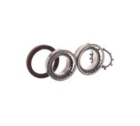 SKF VKBA 6700 Wheel bearing kit