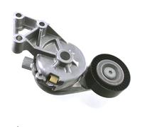 SKF VKM 31019 Tensioner pulley
