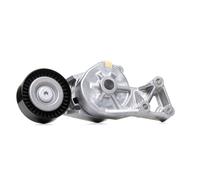 SKF VKM 31019 Tensioner pulley