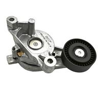 SKF VKM 31022 Tensioner pulley