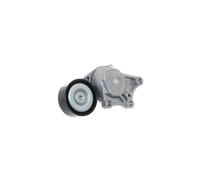 SKF VKM 33111 Tensioner pulley