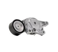 SKF VKM 33329 Tensioner pulley