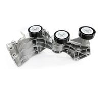 SKF VKM 38869 Tensioner pulley
